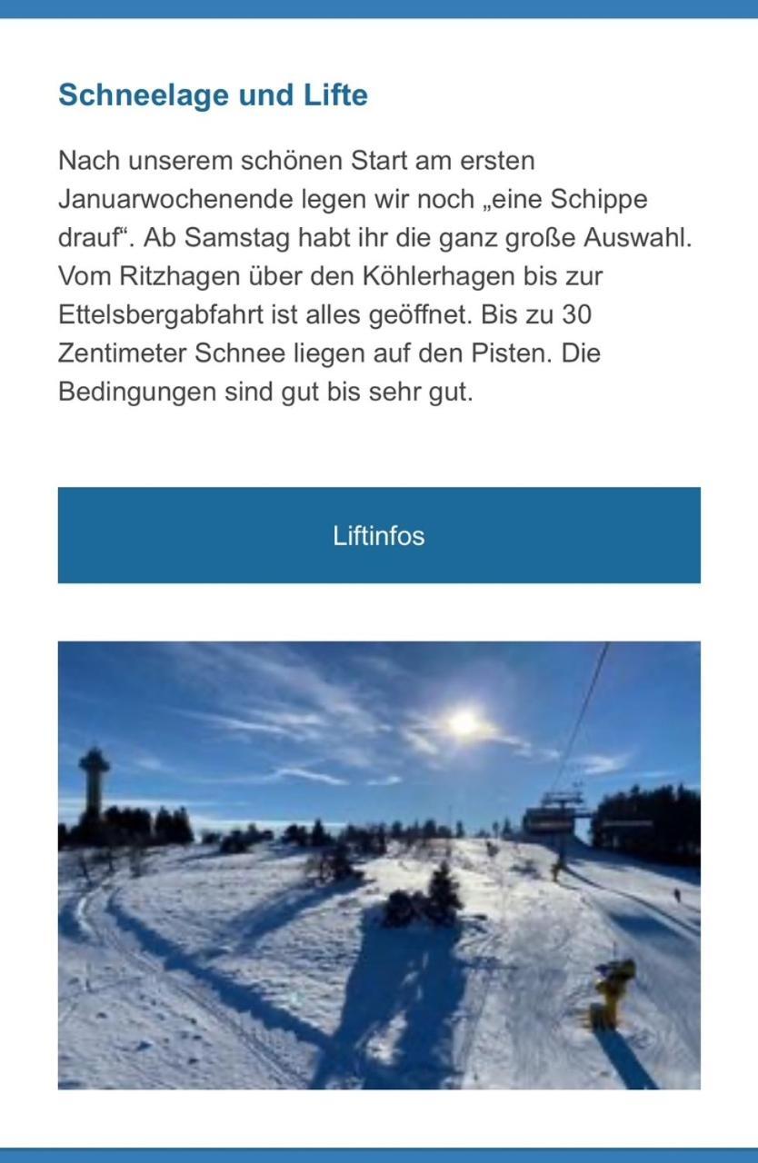 Apartament Willinger Perle 69 Willingen  Zewnętrze zdjęcie